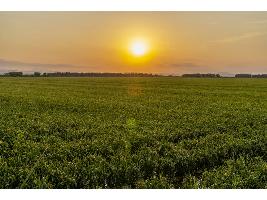 El Ministerio de Agricultura, Pesca y Alimentación destina más de 1,5 millones de euros a 1.060 explotaciones agrarias de titularidad compartida