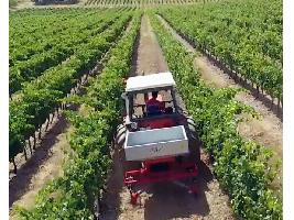 El Ministerio de Agricultura abona 281 millones a 234.000 titulares de explotaciones agrícolas por la subida de los fertilizantes