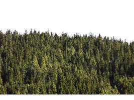 El Ministerio de Agricultura, Pesca y Alimentación destina 12,15 millones de euros para financiar 23 proyectos innovadores en el sector agroalimentario y forestal