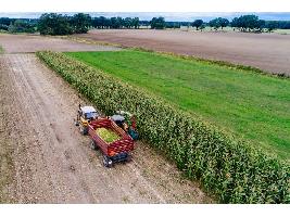 El Ministerio de Agricultura, Pesca y Alimentación inicia la consulta pública de los reales decretos que establecen la gobernanza y los mecanismos de gestión y control de la nueva Política Agraria Común