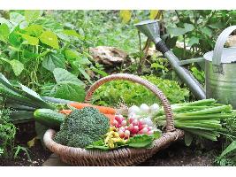 El Ministerio de Agricultura, Pesca y Alimentacion pone en marcha un curso de asesoramiento en agricultura ecológica