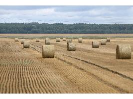 El Ministerio de Agricultura, Pesca y Alimentación abre información pública de la modificación del real decreto sobre la condicionalidad reforzada de la PAC