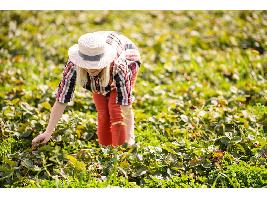 El Ministerio de Agricultura, Pesca y Alimentación destina 2 millones de euros a programas de formación para profesionales del medio rural