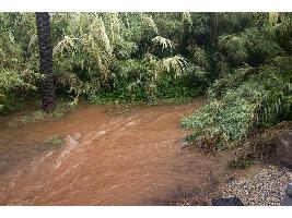 El Ministerio de Agricultura, Pesca y Alimentación amplía hasta el 12 de febrero el plazo para comunicar daños por la dana en la provincia de Valencia