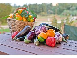 El Ministerio de Agricultura, Pesca y Alimentación abre la inscripción en el curso de producción ecológica