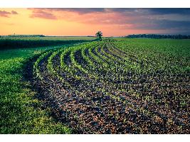 El Ministerio de Agricultura, Pesca y Alimentación asigna los nuevos derechos de la Reserva Nacional de Pago Básico solicitados en 2020.