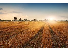El Ministerio de Agricultura, Pesca y Alimentación convoca ayudas por 1,7 millones de euros para las explotaciones agrarias de titularidad compartida