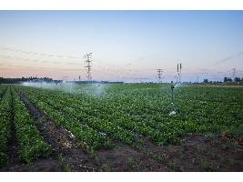 El Ministerio de Agricultura, Pesca y Alimentación inicia las obras para dotar de instalaciones solares fotovoltaicas a regadíos de la huerta murciana