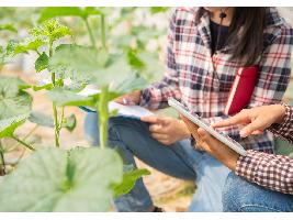 El Ministerio de Agricultura, Pesca y Alimentación abre la inscripción de la séptima edición del curso de emprendimiento en el medio rural