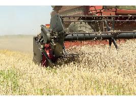 El Ministerio de Agricultura, Pesca y Alimentación convoca ayudas por 37,5 millones de euros para proyectos de innovación suprautonómicos