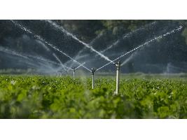El Ministerio de Agricultura, Pesca y Alimentación invierte 1,17 millones de euros en la modernización de regadíos en Albacete