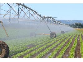 El Ministerio de Agricultura, Pesca y Alimentación actualiza la financiación y los proyectos de modernización de regadíos