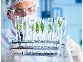 El Ministerio de Agricultura, Pesca y Alimentación refuerza el asesoramiento científico para impulsar la mejora vegetal a través de las nuevas técnicas genómicas