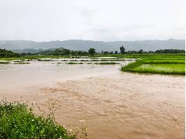 El Ministerio de Agricultura, Pesca y Alimentación eleva a 69,6 millones de euros el pago de ayudas directas para los agricultores y ganaderos afectados por la dana