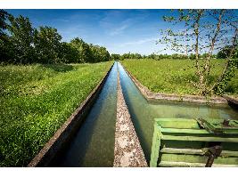 El Ministerio de Agricultura, Pesca y Alimentación destina 49,3 millones de euros a la modernización hídrica y energética de los regadíos del bajo Carrión (Palencia)