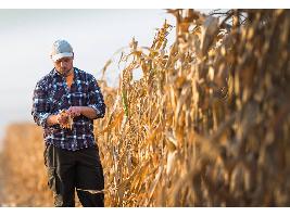 El Ministerio de Agricultura, Pesca y Alimentación concede 4,5 millones de euros en ayudas a 382 jóvenes agricultores y operadores del sector pesquero
