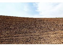El Ministerio de Agricultura, Pesca y Alimentación convoca ayudas para las Entidades Asociativas Prioritarias por valor de 39,9 millones de euros