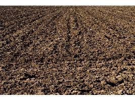 El Ministerio de Agricultura, Pesca y Alimentación analizará el contenido en carbono de los suelos agrícolas de España