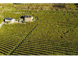 El Ministerio de Agricultura, Pesca y Alimentación destina más de 37 millones de euros para financiar 65 proyectos innovadores en el sector agroalimentario y forestal