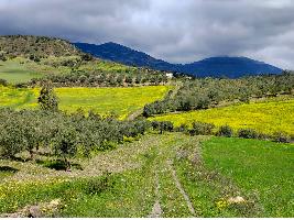 El mundo rural andaluz se prepara para la llegada de fondos europeos con los que hacer frente a la despoblación y la crisis climática