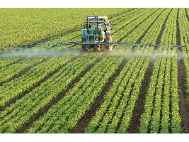 El pago de la ayuda complementaria a jóvenes agricultores se incrementa un 16% en la campaña 2019