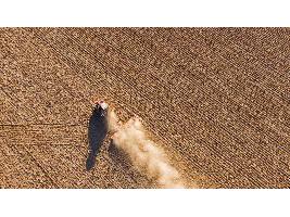 El paro en agricultura baja un 2% y la afiliación al Sistema Especial Agrario sube un 3%