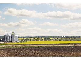 El Perte Agroalimentario ya tiene fecha: el plazo para solicitar las ayudas de 510 millones de euros arranca el 23 de enero