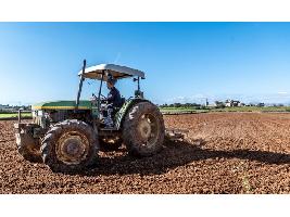 El PIB agrícola sube el 4,4 % trimestral en España frente a la caída histórica general