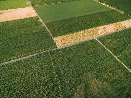 El programa CalculaPAC 2023 se actualiza para ayudar a los agricultores a planificar sus siembras y acogerse a los eco-regímenes