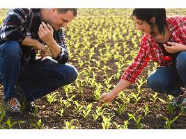 El programa Cultiva, un "Erasmus rural" para los jóvenes que quieren vivir del campo