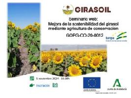 El proyecto Girasoil celebra un seminario online sobre “Mejora de la sostenibilidad del girasol mediante agricultura de conservación”