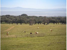 El secretario general de Recursos Agrarios inauguró el Foro de Diálogo de la Ganadería Extensiva en España con amplia participación de todos los sectores