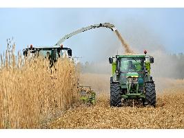 El secretario general de Agricultura y Alimentación señala la necesidad de introducir los costes de producción en la dinámica de negociación