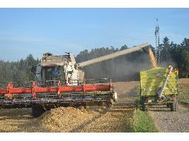 El sector agrario recibe 300 millones entre febrero y marzo en pagos directos de la PAC hasta alcanzar los 4.727 millones desde octubre.