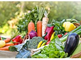 España se consolida como el mayor productor ecológico por superficie en la Unión Europea y sexto a nivel mundial