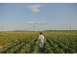 España traslada al Fondo Internacional de Desarrollo Agrícola la importancia de impulsar políticas para afianzar el papel de las mujeres y los jóvenes en el sector agrario