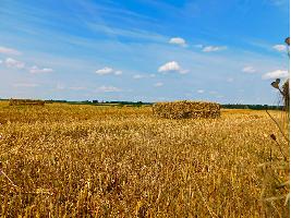 Espera un número importante de solicitudes de incorporación a la agricultura en Castilla y León