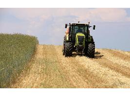Europa confirma la «ayuda temporal excepcional» de 15.000€ a agricultores y 100.000 a pymes por la guerra a pagar en 2023