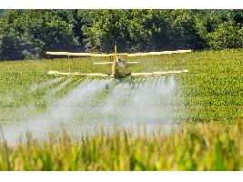 Extremadura inicia la aplicación área de productos fitosanitarios para el control de la pudenta del arroz con aviones y drones