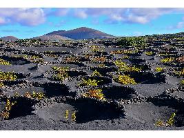Fallado los Premios Enogastroturismo de la Universidad de La Laguna 2022