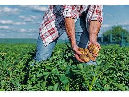 Formación en producción ecológica para el impulso del empleo verde y la transición agroecológica