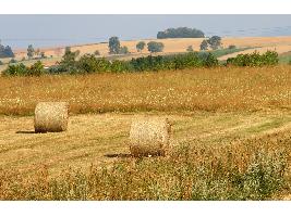 Francia primará en la UE las medidas para reducir las «incoherencias» denunciadas por los agricultores sobre políticas medioambientales