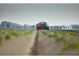 HISTORIAS DE BKT: ELEGIR EL EQUIPO ADECUADO  PARA LABRAR 35 HECTÁREAS DE TIERRAS AGRÍCOLAS