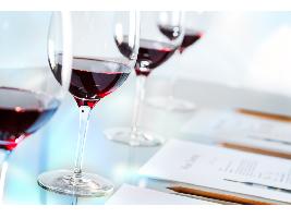 Importadores del Benelux se rinden ante los encantos de los vinos de Calatayud
