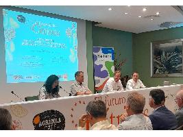 Kubota debate sobre el Futuro de los Cítricos en España