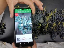 Kubota invierte en Clarifruit, líder en control de calidad de frutas y verduras