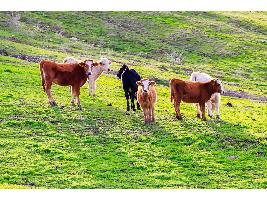 La agricultura española ante los retos de 2024