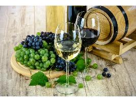 La añada 2020 de Rioja obtiene una calificación de “Muy Buena” 