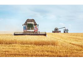La CE espera aprobar los planes estratégicos de agricultura antes de fin de año