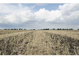 La CE estudia un paquete de ayudas equivalente a la Medida 22 para dotar de más fondos al sector agrario afectado por la sequía